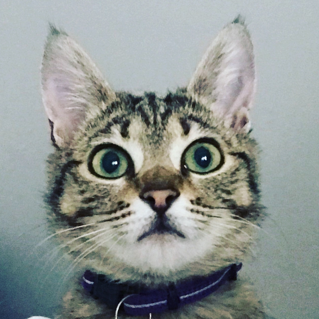 Young Coco with big curious eyes